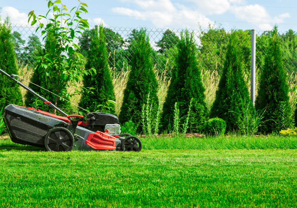 How to Increase Your Property Value With Smart Landscaping and Tree ...