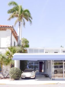 Choosing the Right Tree Lopping Brisbane Southside Service - Lariviere ...
